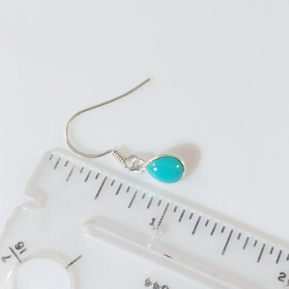 Sonoran Turquoise Earrings in Sterling Silver
